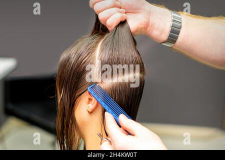 Un homme de coiffure divise les cheveux des femmes en sections avec peigne et mains dans un salon de beauté Banque D'Images