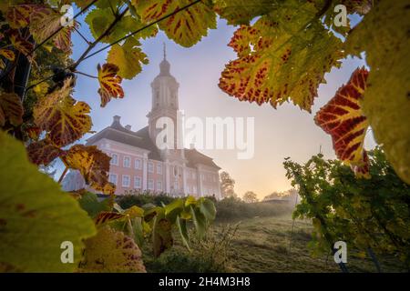 Lever de soleil brumeux à Birnau sur Bodensee, Allemagne Banque D'Images