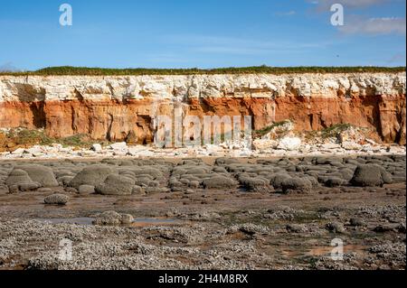 Boulettes ou pierres disposées en lignes droites recouvertes de moules et de barnacles à Hunstanton Beach, Norfolk Banque D'Images