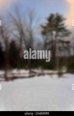 Arrière-plan flou de l'arbre au milieu de la forêt avec de la neige. Banque D'Images