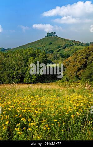 Dorset UK,,Symondsbury,Colmers Hill Banque D'Images