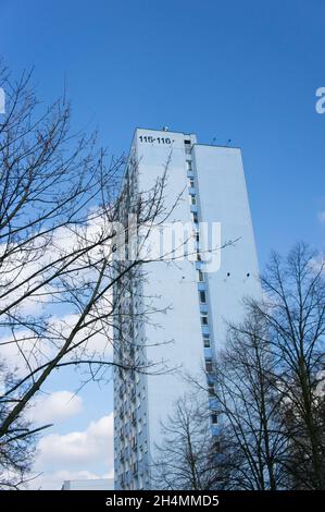 POZNAN, POLOGNE - 26 mars 2014 : un cliché vertical d'un arbre sans feuilles et d'un haut bâtiment dans le quartier d'Orla Bialego à Poznan, en Pologne Banque D'Images