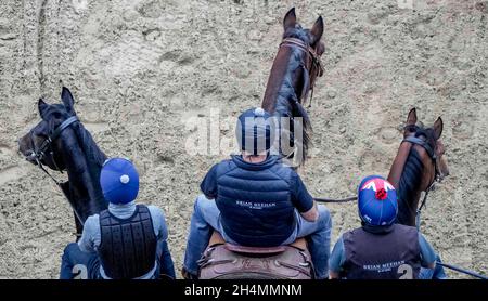 Del Mar, CA, États-Unis.1er novembre 2021.1 novembre 2021: Armour, entré dans la coupe des éleveurs Juvenile Turf Sprint et vertigineux, entré dans la coupe des éleveurs Juvenile Turf Sprint faites connaissance de la piste de course le 1 novembre 2021 au Del Mar Thoroughbred Club à Del Mar, Californie.Scott Serio/Eclipse Sportswire/Breeders Cup/CSM/Alay Live News Banque D'Images