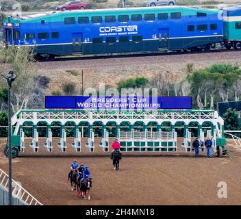 Del Mar, CA, États-Unis.1er novembre 2021.1er novembre 2021 : les chevaux européens se familiarisent avec la surface de course le 1er novembre 2021 au Del Mar Thoroughbred Club à Del Mar, Californie.Scott Serio/Eclipse Sportswire/Breeders Cup/CSM/Alay Live News Banque D'Images