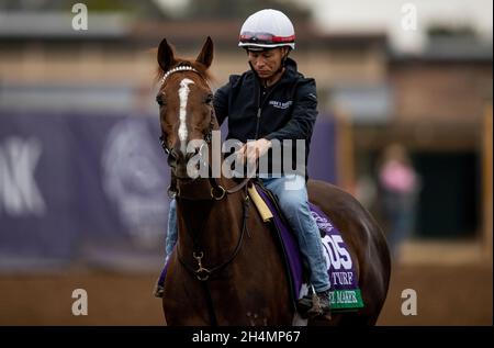 Del Mar, CA, États-Unis.1er novembre 2021.01 novembre 2021 : Channel Maker au Del Mar Thoroughbred Club à Del Mar, Californie, le 01 novembre 2021.Evers/Eclipse Sportswire/Breeders' Cup/CSM/Alamy Live News Banque D'Images