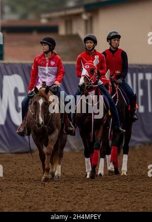 Del Mar, CA, États-Unis.1er novembre 2021.01 novembre 2021: Les coureurs japonais Marche Lorainne et vous aime seulement au Del Mar Thoroughbred Club à Del Mar, Californie, le 01 novembre 2021.Evers/Eclipse Sportswire/Breeders' Cup/CSM/Alamy Live News Banque D'Images