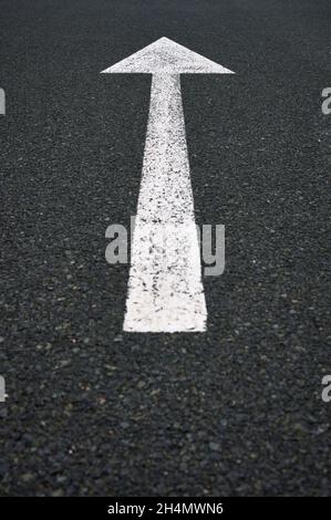 détail d'un panneau de signalisation avec une flèche blanche peinte sur l'asphalte. Banque D'Images