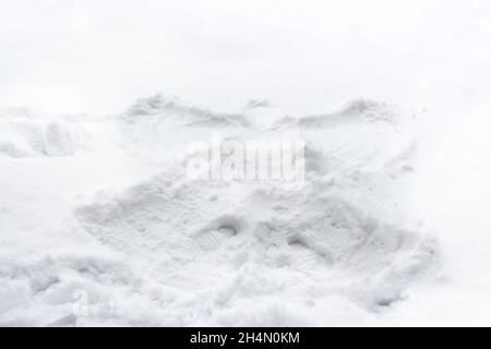 Ange de neige fait dans la neige blanche.Vue latérale.Traces sur la surface enneigée.Extérieur, extérieur, temps froid.Vacances amusantes.Profitez de l'hiver. Banque D'Images