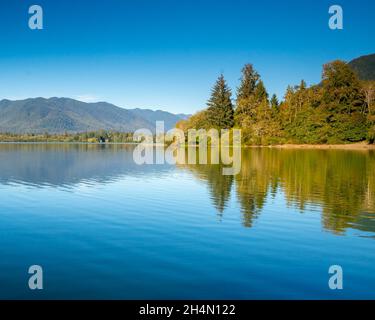 Quinault, WA - États-Unis - sept21, 2021 : vue horizontale du lac Quinault dans le parc national olympique. Banque D'Images