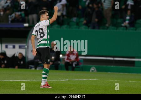 Lisbonne, Portugal.03ème novembre 2021. Lors du match du groupe C de la Ligue des champions de l'UEFA entre le Sporting CP et Besiktas au stade Jose Alvalade de Lisbonne, Portugal, le 03 novembre 2021.Valter Gouveia/SPP crédit: SPP Sport presse photo./Alamy Live News Banque D'Images