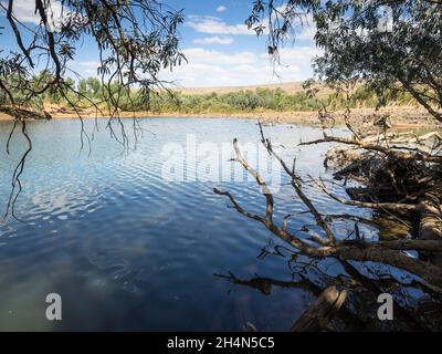 Billabong sur la rivière Fitzroy en saison sèche, Mornington, les Kimberley, Australie occidentale Banque D'Images