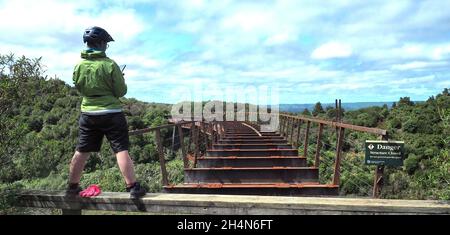 Un cycliste utilise son téléphone pour photographier le viaduc ferroviaire de Taonui du XIXe siècle, un lieu historique sur la piste cyclable Old Coach Road d'Ohakune, en Nouvelle-Zélande Banque D'Images