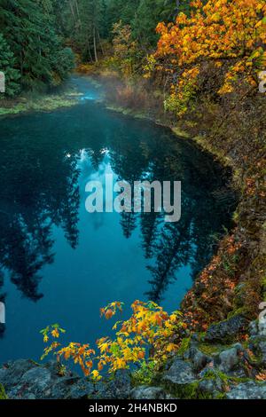 Tamolitch Falls, Blue Pool, McKenzie River National Recreation Trail, Willamette National Forest, Oregon Banque D'Images