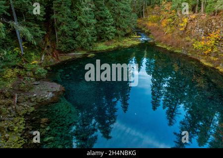 Tamolitch Falls, Blue Pool, McKenzie River National Recreation Trail, Willamette National Forest, Oregon Banque D'Images