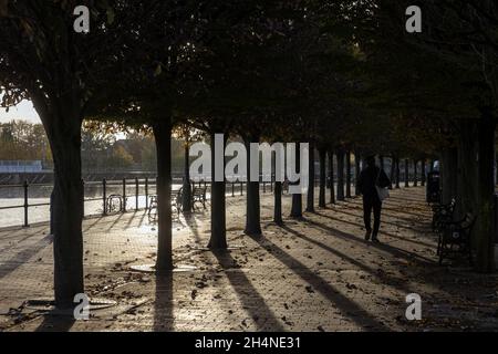 Soleil et pluie sur une avenue bordée d'arbres à Salford Quays Banque D'Images