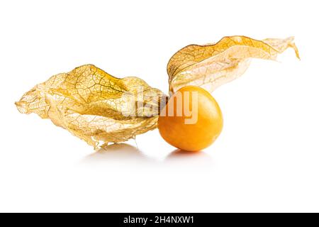 Physalis peruviana.Cape Gooseberry ou cerises de terre fruits isolés sur fond blanc. Banque D'Images