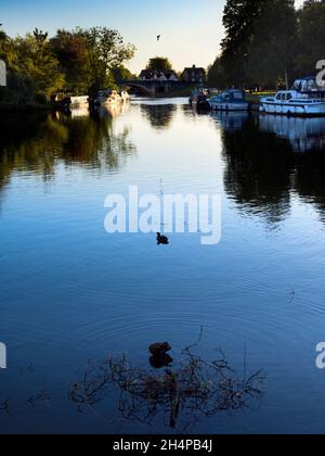 Abingdon prétend être la plus ancienne ville d'Angleterre.C'est son célèbre pont de pierre médiéval, un beau matin d'automne, vu du célèbre local Banque D'Images