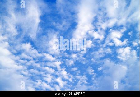 Ciel bleu vif avec nuages Altocumulus blancs Banque D'Images