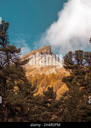 Vue imprenable sur une haute vallée alpine et des montagnes enneigées.Des arbres d'automne et d'automne de couleur orange et jaune bordent les côtés de la vallée Banque D'Images