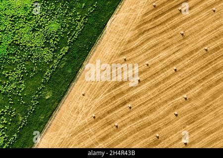 Vue aérienne du motif de champs vert et jaune.Balles de foin sur le champ agricole après la récolte.Paysage agricole.Vue de dessus en bas de drone de l'agriculture Banque D'Images