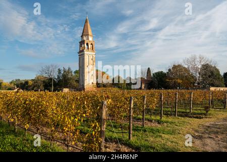 Campanile di Sant Angelo sur l'île de Mazzorbo près de Burano (Venise, Italie) par une journée ensoleillée en automne, feuilles colorées Banque D'Images