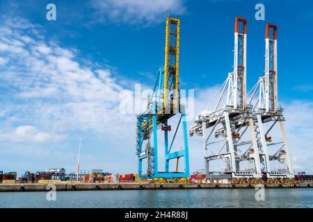 Le Havre, France - 29 juillet 2021 : vue générale du terminal à conteneurs Port 2000 équipé de grues portiques à conteneurs super post-panamax pour recevoir le Banque D'Images