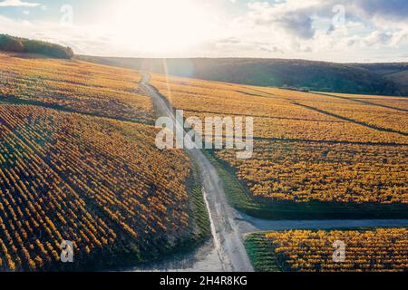 Route des vins, route de campagne et vignobles de Chablis.Bourgogne, France Banque D'Images