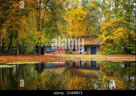 Chalet en bois dans la forêt et réflexion sur le lac Banque D'Images