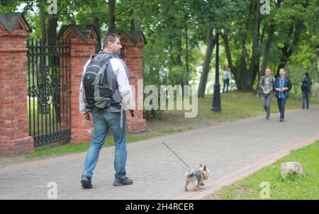 Minsk, Bélarus - 13 août 2016 Parc Loshitsa.Un homme solitaire marche dans le parc avec un petit chien.Thème animaux. Banque D'Images