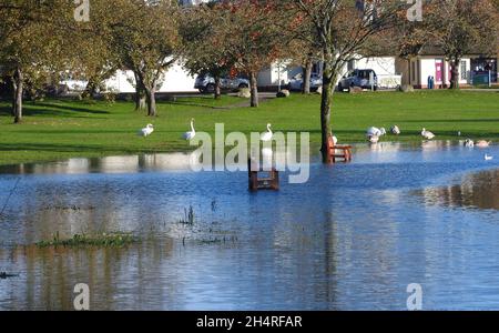 Des inondations au lac Carlingwark, Castle-Douglas, (Caivol Dhùghlais en gaélique) Dumfries & Galloway, en Écosse envahissent le parc lochside - novembre 2021.La ville a été fondée en 1792 par William Douglas avec de l'argent fait dans les métiers américains (Slavery?).La ville était autrefois connue pour le coton tissé à la main .De nombreux objets historiques ont été récupérés dans le loch Banque D'Images