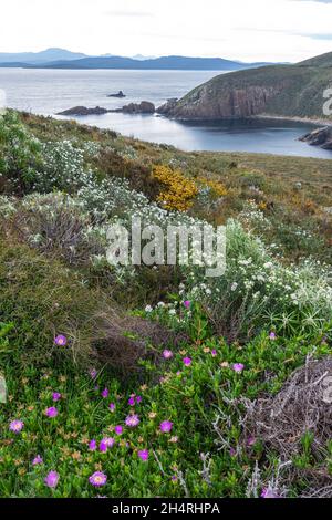 Cape Bruny, Tasmanie, Australie Banque D'Images