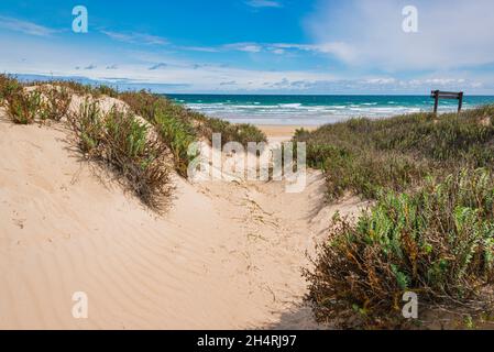 Parc national de Narawntapu, Tasmanie Banque D'Images