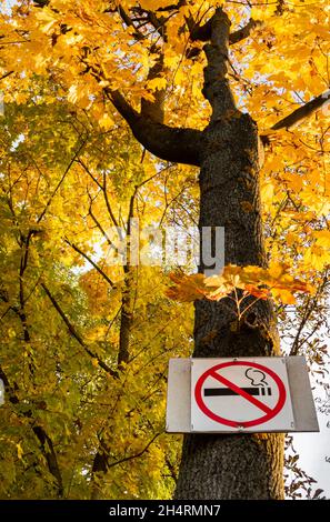 panneau d'interdiction de fumer cloué sur un arbre jaune d'automne Banque D'Images