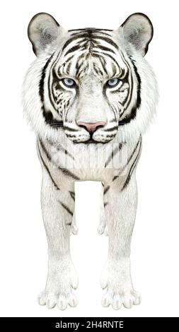 Tigre blanc rendu numériquement avec yeux bleus, illustration 3D. Banque D'Images