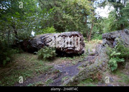 Green Man Tree Spirit sculpture sculptée dans Douglas Fir par Tommy Craggs à Cragside, Rothbury, Northumberland, Angleterre, Royaume-Uni,Royaume-Uni Banque D'Images