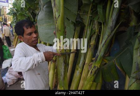 Guwahati, Guwahati, Inde.4 novembre 2021.Un vendeur organise des arbres Banana qui est Keept pour la vente pour le festival hindou Diwali ou festival de lumière dans un marché à Guwahati Assam Inde le jeudi 4 novembre 2021.(Image de crédit : © Dasarath Deka/ZUMA Press Wire) Banque D'Images