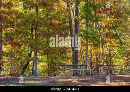 Aire de pique-nique avec feuillage d'automne coloré au parc national Don carter sur le lac Lanier à Gainesville, Géorgie.(ÉTATS-UNIS) Banque D'Images