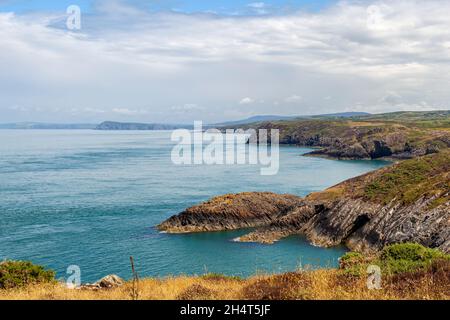 En regardant vers le nord depuis Carreg Gbroshire point le long du sentier côtier de Pembrokeshire en direction de Dinas Head, Pembrokeshire Banque D'Images