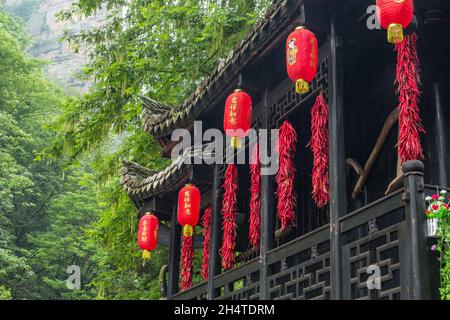 Des brins de piments rouges et de lanternes chinoises dans un bâtiment traditionnel en bois du parc forestier national de Zhangjiajie, Hunan, Chine. Banque D'Images