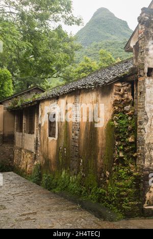 Les fougères sortent du mur endommagé d'un ancien bâtiment traditionnel à Xingping, en Chine. Banque D'Images