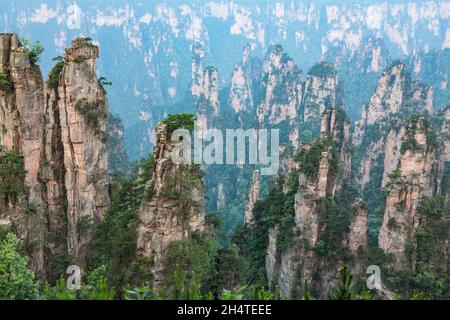 Piliers de grès quartzite dans la région de Tianzi Mountain, dans la forêt de pierres du parc forestier national de Zhangjiajie, en Chine. Banque D'Images
