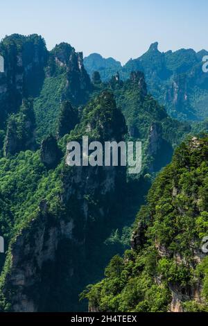 Formations rocheuses sur le corridor dans le sentier des falaises à Yangjiajie, parc forestier national de Zhangjiajie, Chine. Banque D'Images