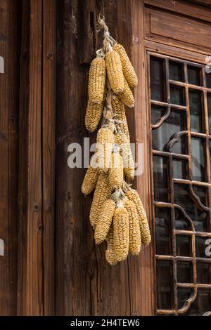 Des épis de maïs séchés sont pendus près de la porte d'une habitation dans la ville de Wuzhen, en Chine. Banque D'Images