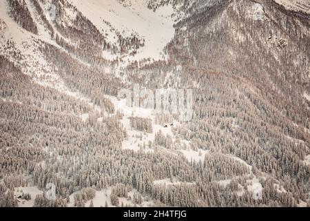 Paysage à Orcières, près de Gap, Hautes-Alpes, France en hiver. Banque D'Images