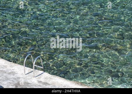 Échelle métallique menant à une piscine d'eau de mer claire Banque D'Images