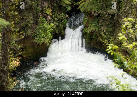 Rapides puissants des chutes d'Okere, Rotorua, Nouvelle-Zélande Banque D'Images