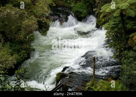 Rapides puissants des chutes d'Okere, Rotorua, Nouvelle-Zélande Banque D'Images