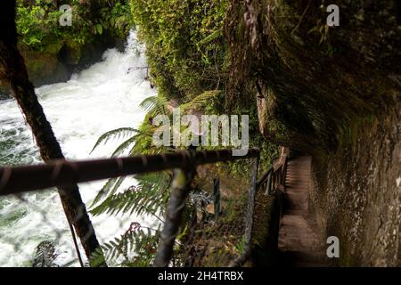 Rapides puissants des chutes d'Okere, Rotorua, Nouvelle-Zélande Banque D'Images