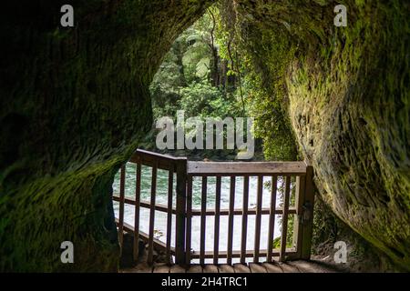 Rapides puissants des chutes d'Okere, Rotorua, Nouvelle-Zélande Banque D'Images