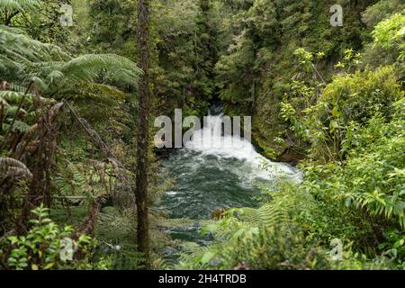 Rapides puissants des chutes d'Okere, Rotorua, Nouvelle-Zélande Banque D'Images